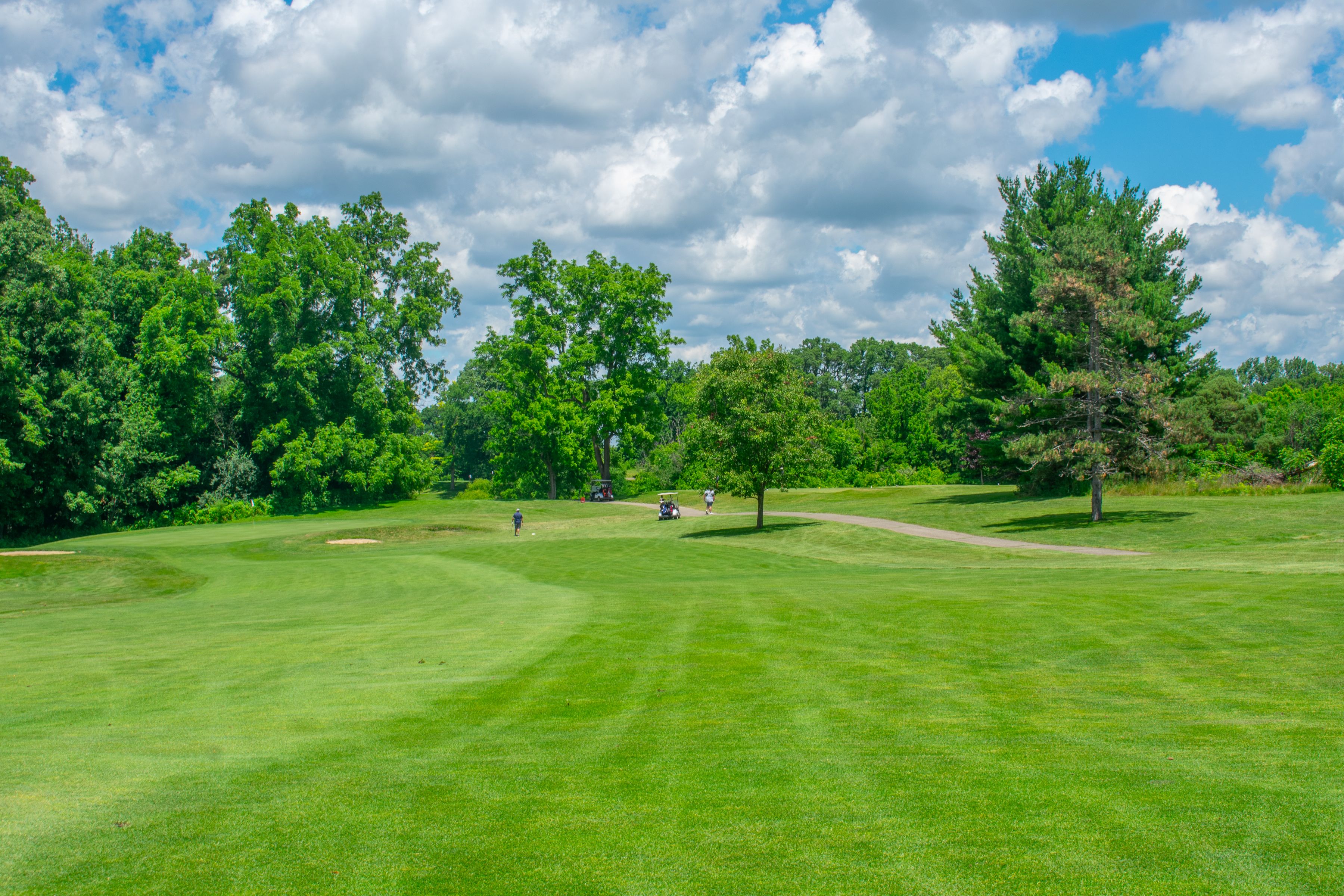 Image of golf ball on tee on grass.